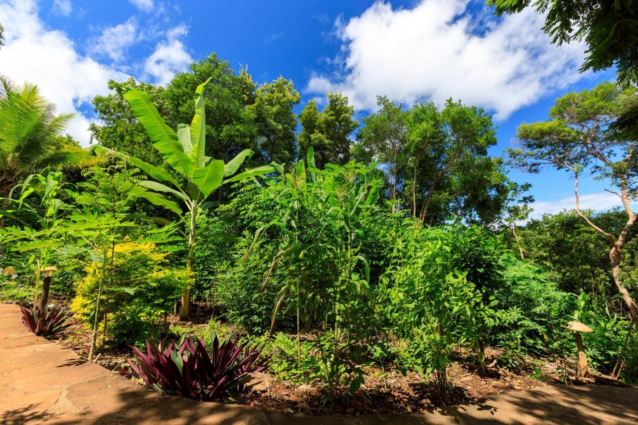 Pousada Canto No Bosque Lencois Zewnętrze zdjęcie